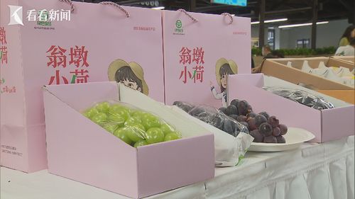 上海市场牵手六安产品 六安农旅沪上文化节开幕 文化用品